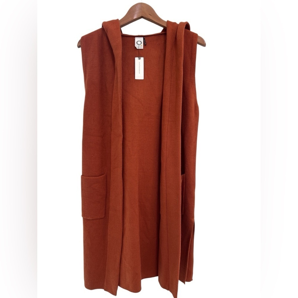 Anthropologie Akemi + Kin Long Open Knit Cardigan Hooded Sweater